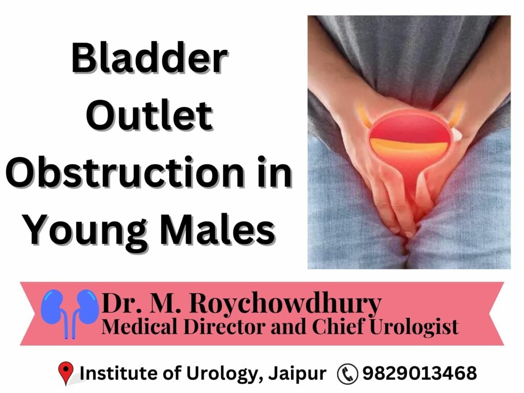 Dr. M ROychowdhury Dr Rajan Bansal Best Urologist in Rajasthan