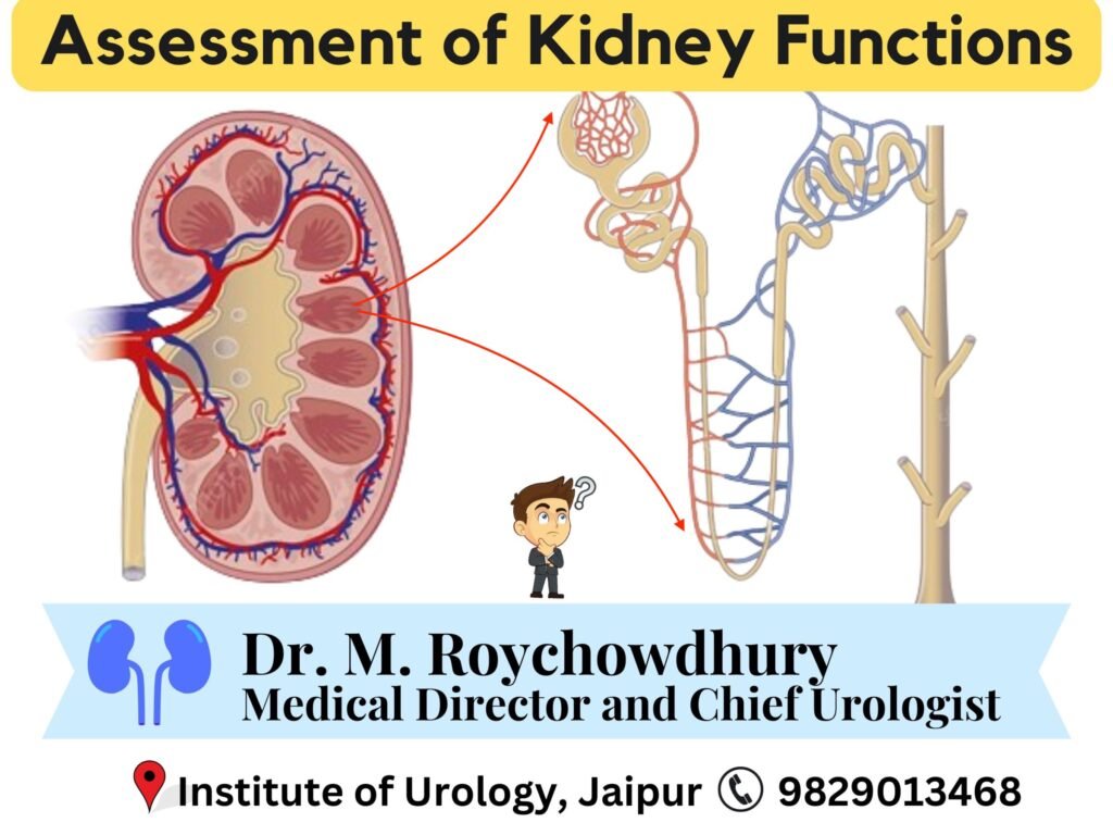 Assessment of Kidney Functions Dr M Roychowdhury Dr Rajan Bansal
