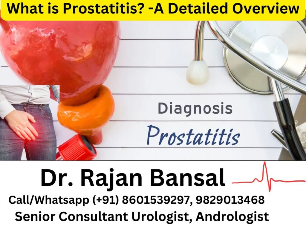What is Prostatitis (Prostatic Inflammation)? A Detailed Overview Dr Rajan Bansal Dr M Roychowdhury